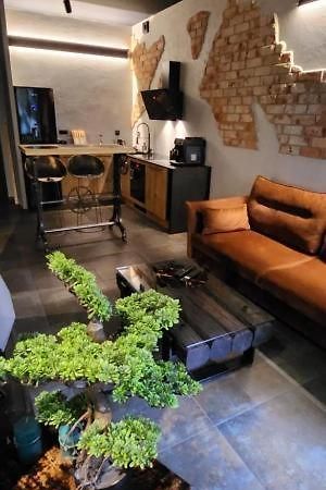 Luxury Old Town Apartments , Gym, Hammock Free Parking! Krakau Buitenkant foto