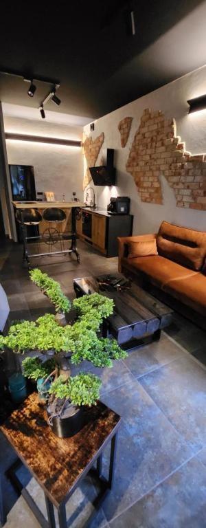 Luxury Old Town Apartments , Gym, Hammock Free Parking! Krakau Buitenkant foto